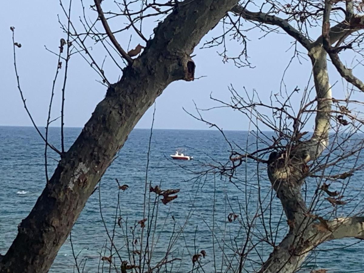 Pelion 7 Lives Vila Tsagarada Exterior foto