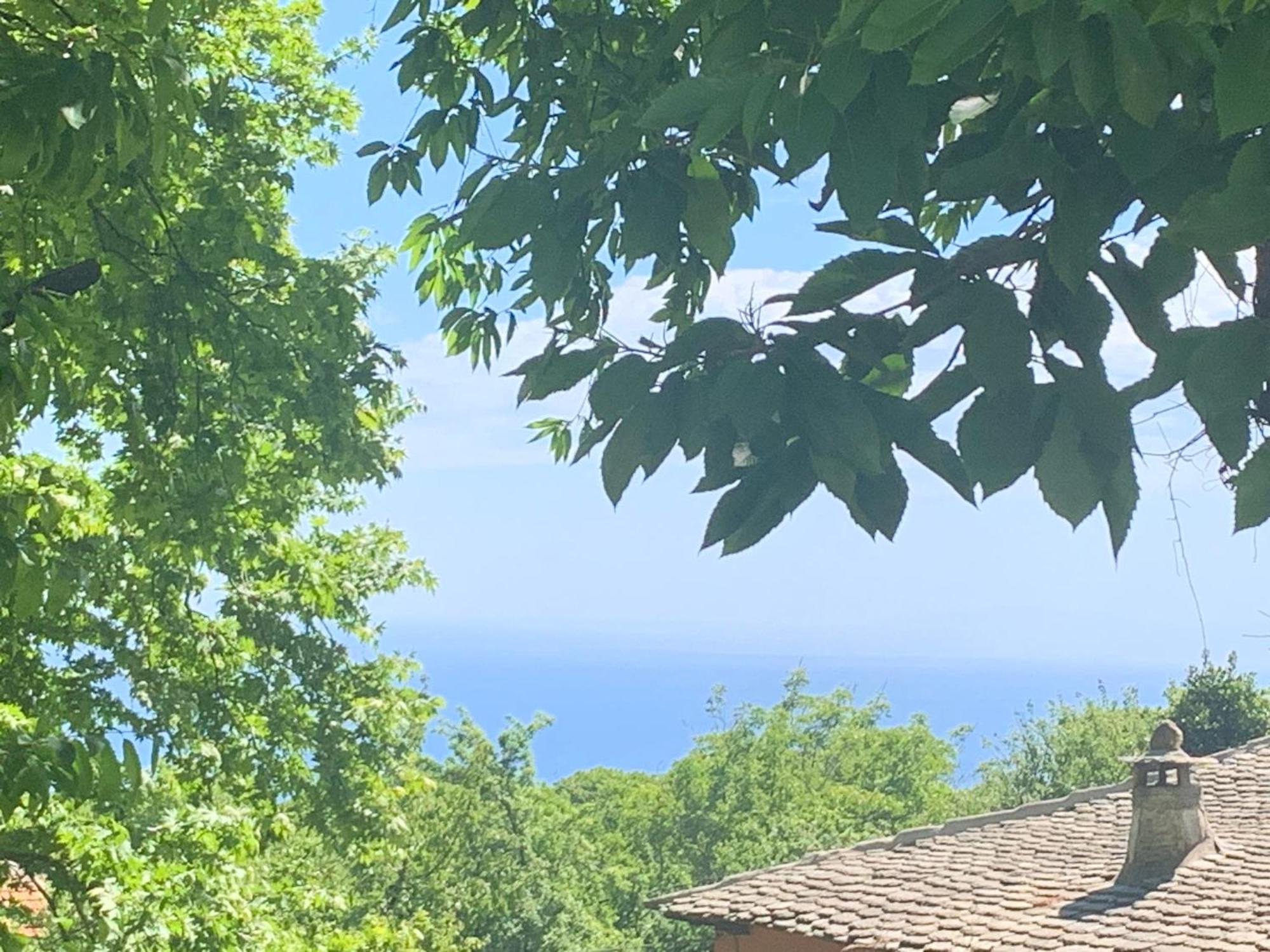 Pelion 7 Lives Vila Tsagarada Exterior foto